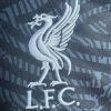 Liverpool Keepershirt 2425