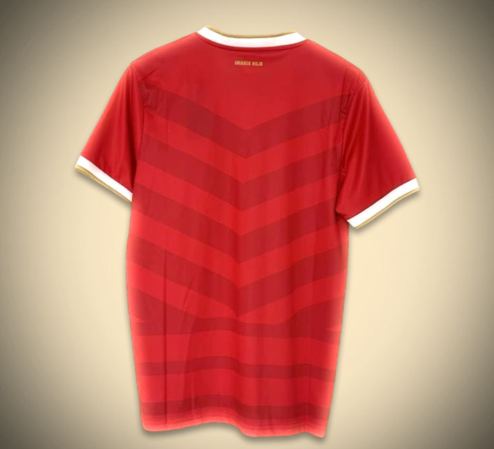 maillotpanamahomedos.jpg Panama Thuisshirt 2024 achteraanzicht