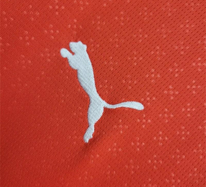 maillotportugaldomicilepuma.jpg Portugal Thuisshirt 2024-2025 stofdetail