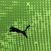 maillotportugalvertpuma.jpg Portugal Keeperstrui Groen 2024-2025 stofdetail