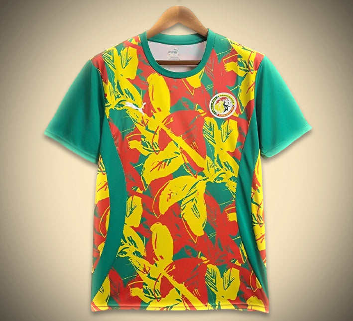 maillotsenegalavantmatch.jpg Senegal Voorwedstrijdshirt 2024 vooraanzicht