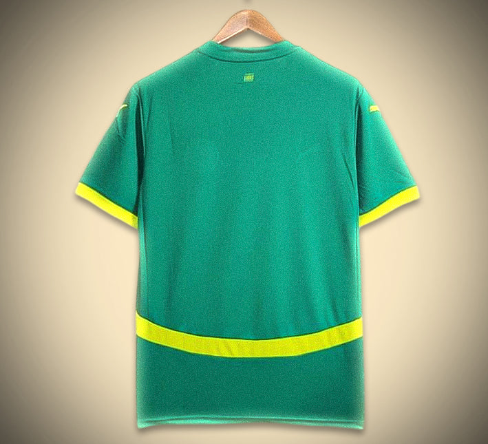 maillotsenegalexterieurdos.jpg Maillot Sénégal Extérieur 2024 vue de dos