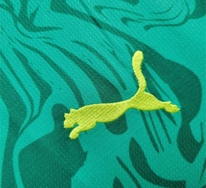 maillotsenegalexterieurpuma.jpg Maillot Sénégal Extérieur 2024 detail tissu