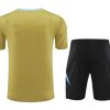 set shirt en broek Argentinië seizoen twintig vierentwintig twintig vijfentwintig