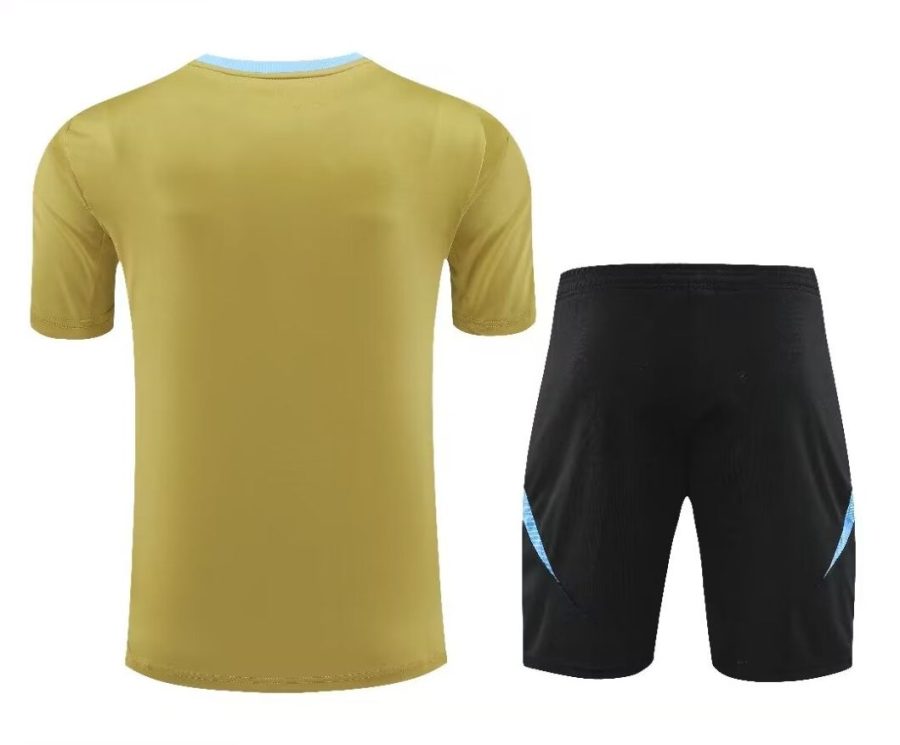 set shirt en broek Argentinië seizoen twintig vierentwintig twintig vijfentwintig