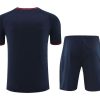 Officieel shirt en short set FC Barcelona seizoen 2024 2025