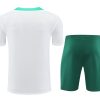 Set shirt en broek Portugal seizoen 2024 2025 voetbaltenue