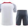 ensemble-training-liverpool-blanc-et-gris-saison-vingt-vingt-trois-vingt-vingt-quatre wit en grijs Liverpool trainingspak seizoen 2023 2024