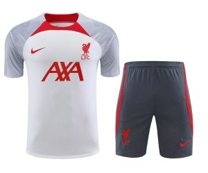KIT TRAINING LIVERPOOL BLANCGRIS 20232024