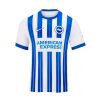 maillot-brighton-domicile-20242025 BRIGHTON THUISSHIRT 20242025