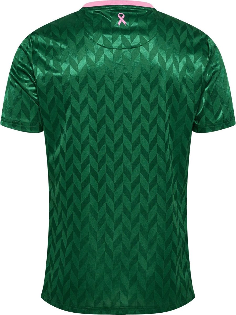 AS Saint-Étienne voetbalshirt oktober roze editie seizoen tweeduizend vijfentwintig tweeduizend zesentwintig