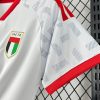 Voetbalshirt VAE thuis 2026 kleuren van de nationale selectie