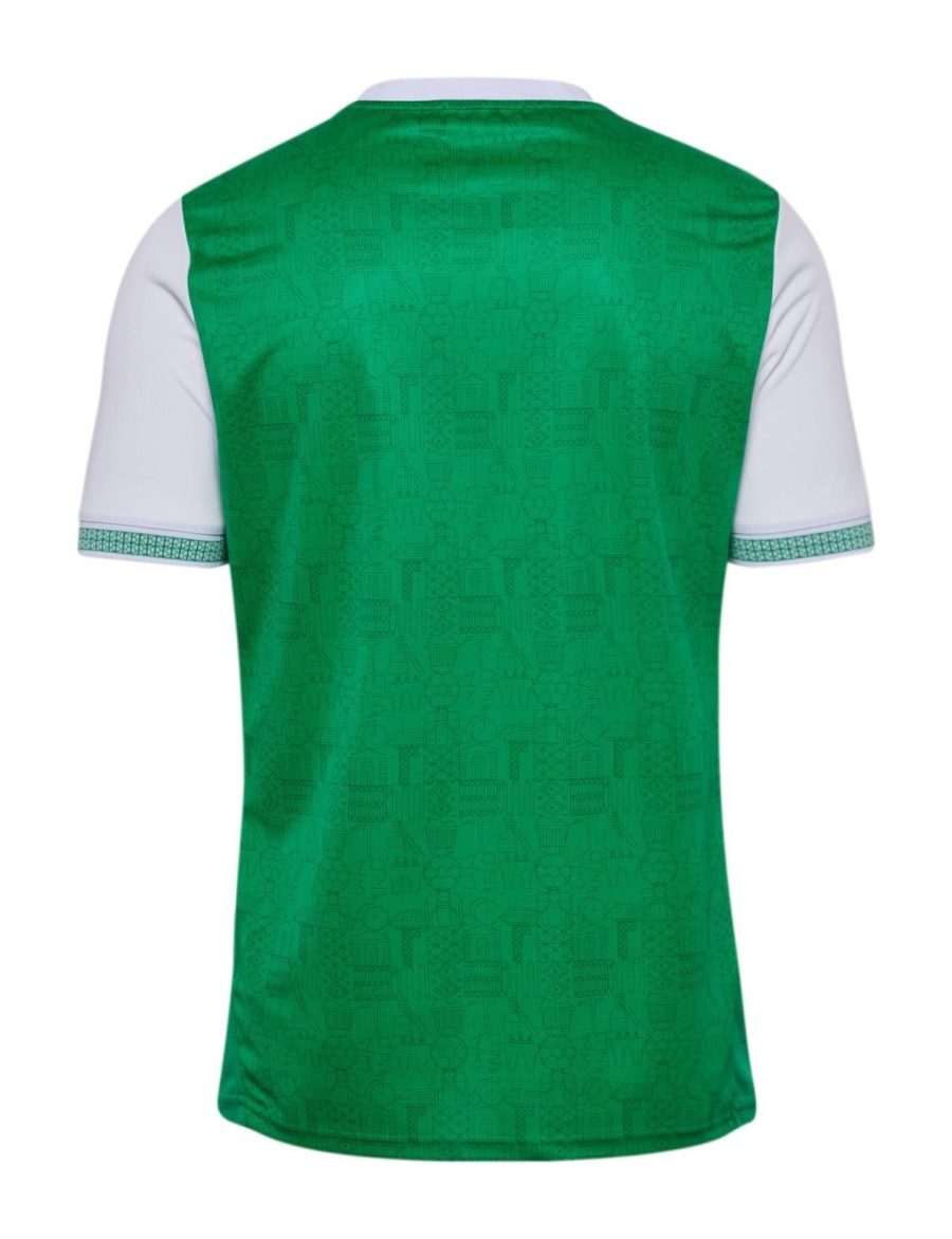 AS Saint-Étienne thuisshirt seizoen 2025 2026 groen en wit