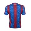 Thuisshirt Crystal Palace seizoen 2024-2025 officieel tenue
