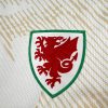 maillot-exterieur-pays-de-galles-2026 Uitshirt Wales 2026