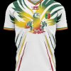 maillot-mali-domicile-2024 MALI THUISSHIRT 2024