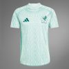 MAILLOT MEXIQUE EXTERIEUR 2024