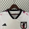 Japan Concept Zoro One Piece 2023/24 Voetbalshirt