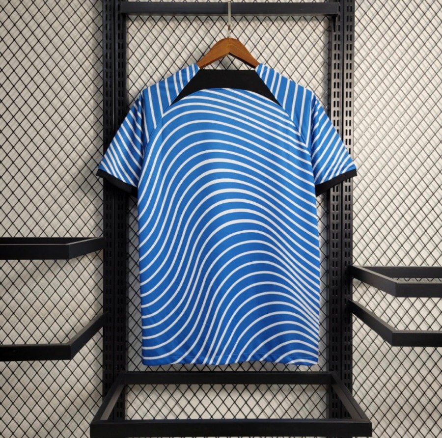 0C729C97-1114-49F9-A975-CDDD0410961B.jpg Chelsea Trainingsshirt 2023/24