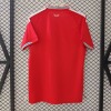 110c61c91b17d8d3715fdfac4ab63c0d.jpg Wales Thuisshirt 2025/26