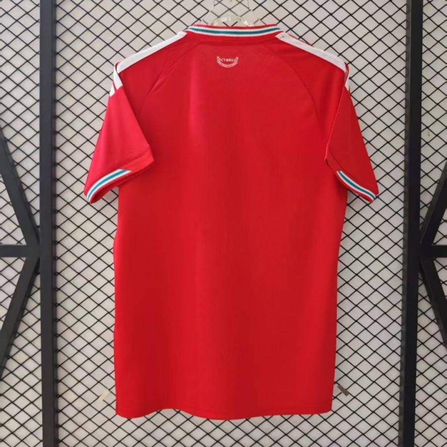 110c61c91b17d8d3715fdfac4ab63c0d.jpg Wales Thuisshirt 2025/26