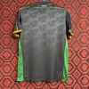 Venezia Thuisshirt 24/25 Special
