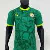 Senegal Uitshirt Groen CAN 2025-26