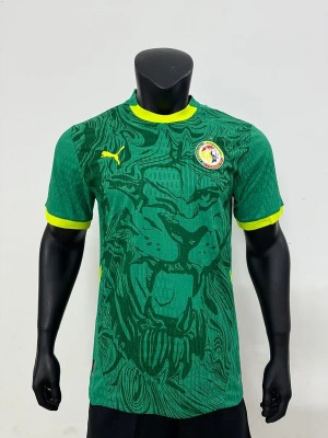1_1755856568000.jpg Senegal Uitshirt Groen CAN 2025-26