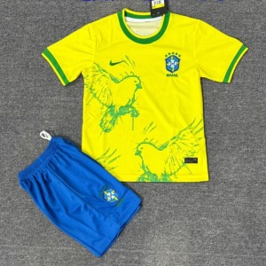 1c08dc743cec105527fa501074186284.jpg Brazilië 25/26 Kindershirt Bird Yellow