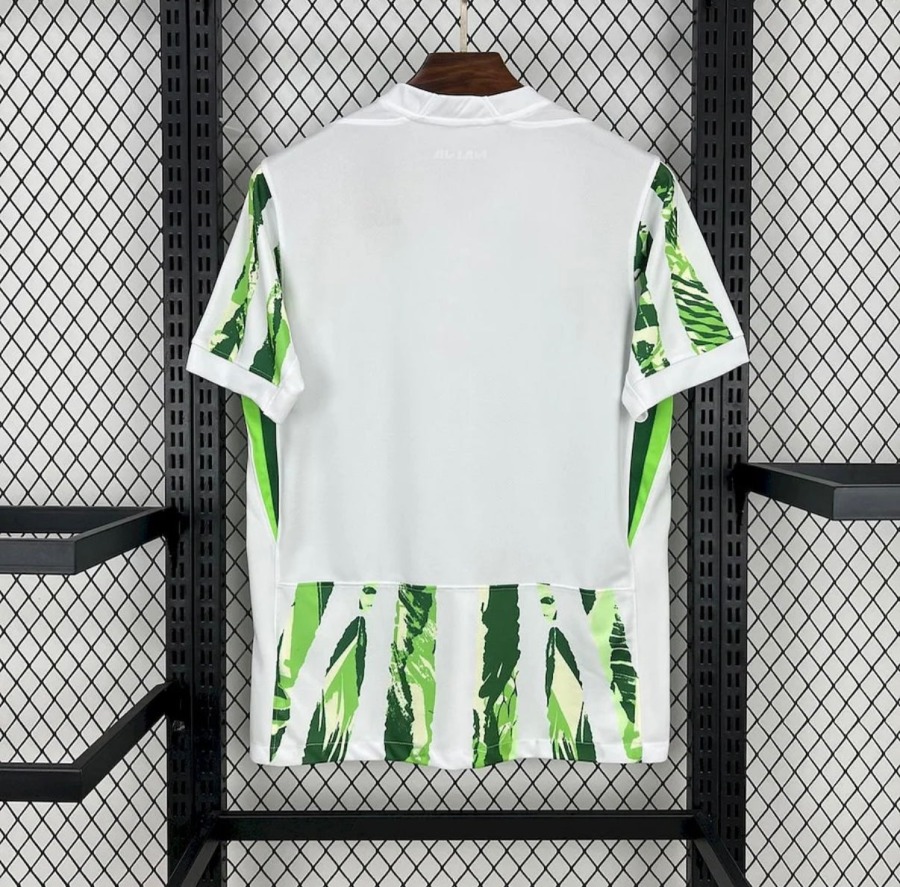 2DF6A560-2DF3-4CAC-B412-AA49A4F6D495.jpg Nigeria Thuisshirt 2025