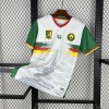 4fb05e84.jpg Voetbalshirt Kameroen CAN 2025-26