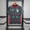 54166B3C-6F69-4CB3-A97B-15FDAB5552D0.jpg Voetbalshirt Mexico Concept 2024