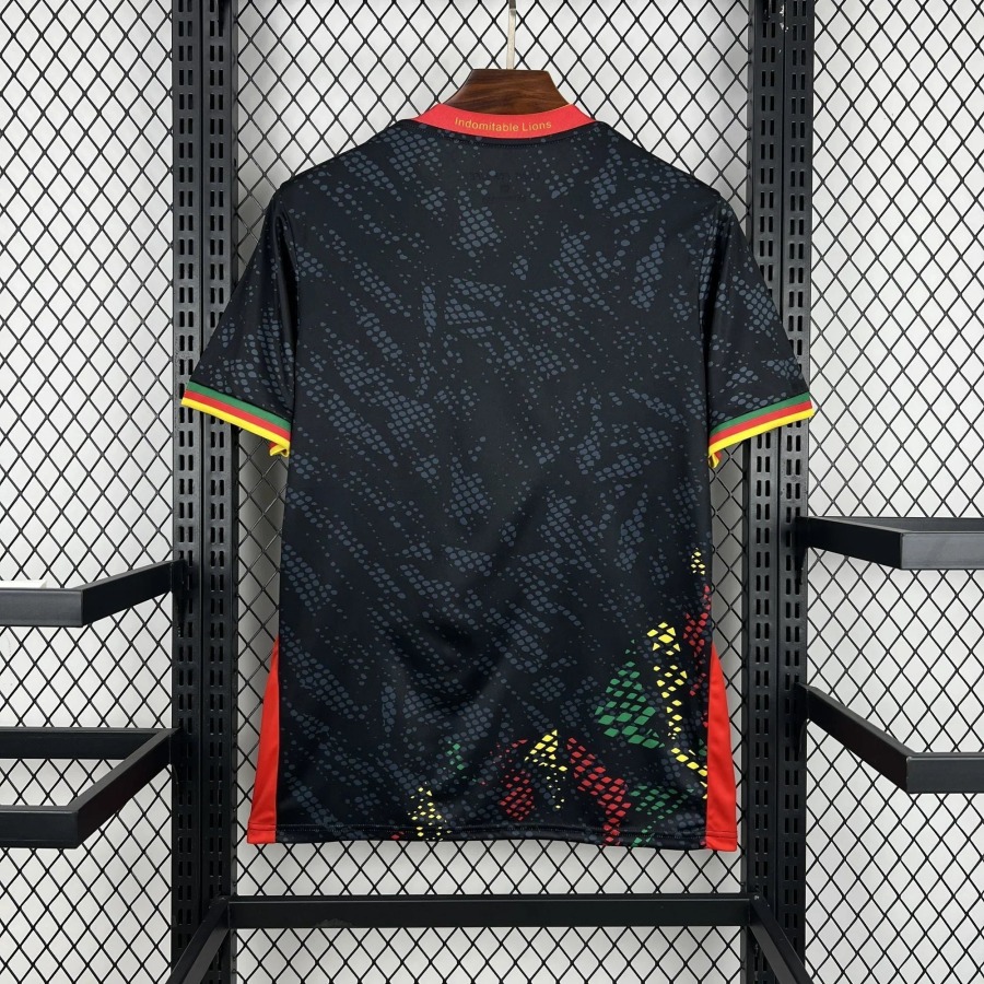 Voetbalshirt Kameroen WK 2026
