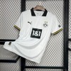 62A43A60-6D33-44B6-911C-E735C8E254D2.jpg BVB Dortmund Derde Shirt 2024/25