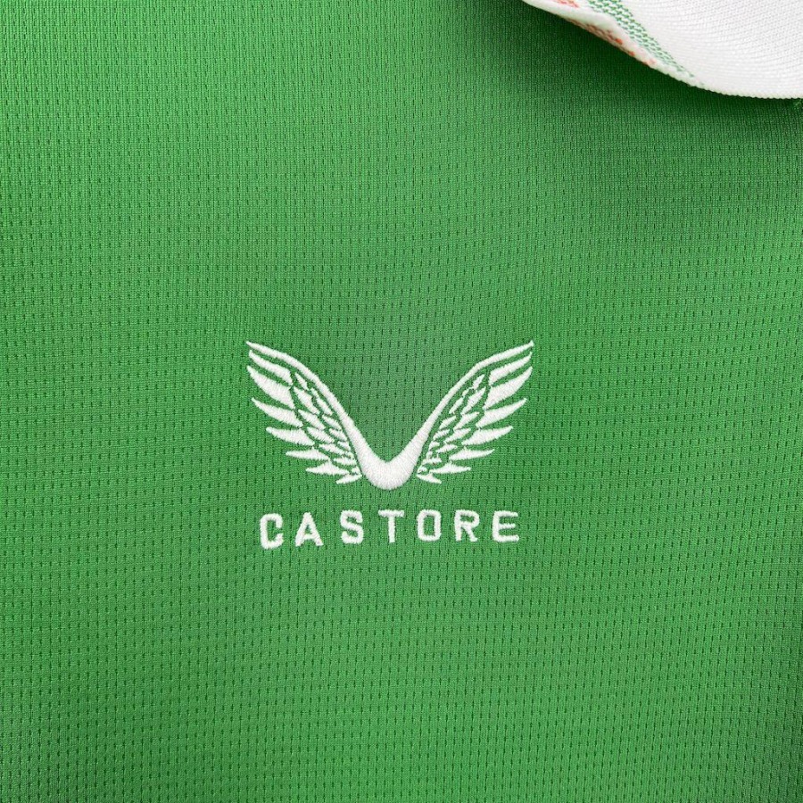 6_1756435972000.jpg Ierland 2025 Thuisshirt