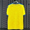 6ed1fd861da56ee17c1eae8b82568786.jpg Oekraïne Thuisshirt 2025/26