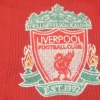 87582B39-A7A7-4A25-8F0F-DDE0D0D501B0.jpg Liverpool Thuisshirt 2008/09