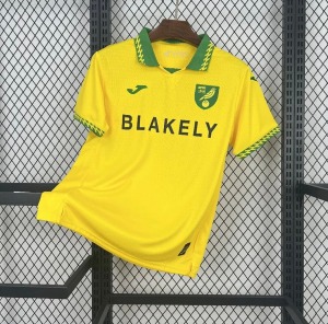 CB47C772-BEDE-4B04-AC11-851226EE6815.jpg Norwich City Thuisshirt 2025/26