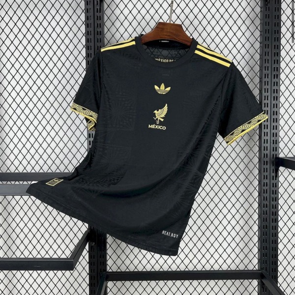 Voetbalshirt Mexico Concept 2025