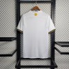 IMG-6066.jpg AIK Solna 2023/24 Concept Voetbalshirt