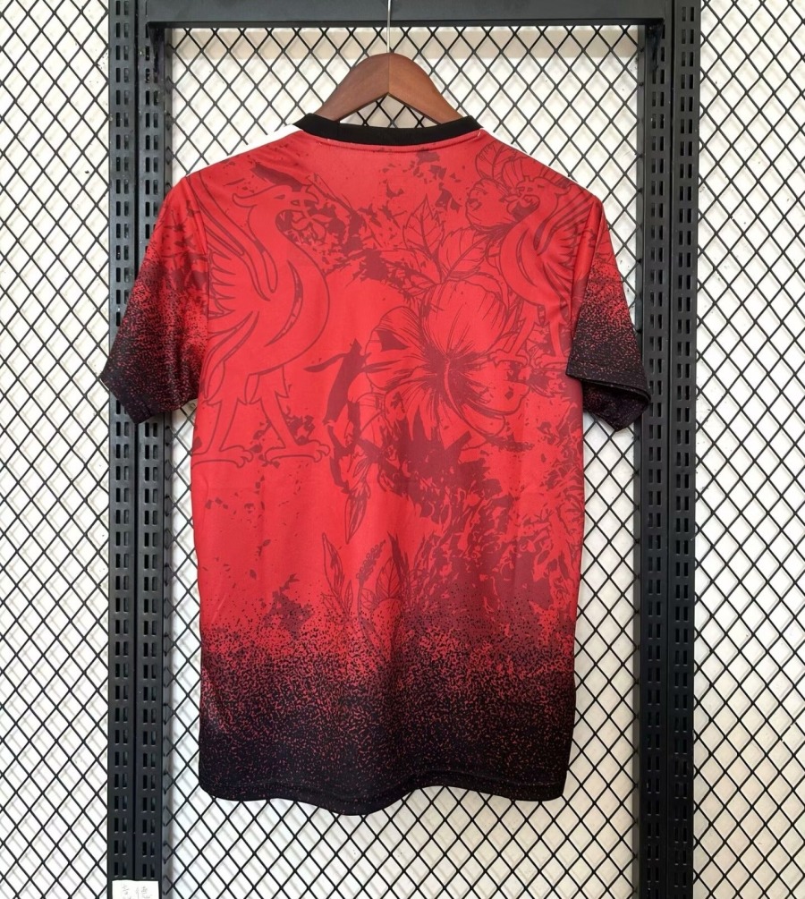 WhatsAppImage2024-12-11at09.30.30_599bb597-9fa3-4fce-bb5a-21f0778b57f4.jpg Liverpool 24/25 Rode Draak Edition Shirt