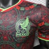 add17101.jpg Mexico Conceptshirt 2026
