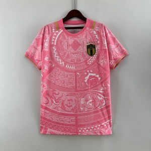 Italië 24/25 Roze Speciale Editie Shirt