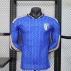 c05e41b181d5fb8e558f7d21ad19dd25.jpg Italië Thuisshirt 25/26 Lange Mouwen