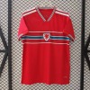 db928b2e5dda79c23d7e86fe58a9ad80.jpg Wales Thuisshirt 2025/26