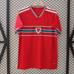 Wales Thuisshirt 2025/26