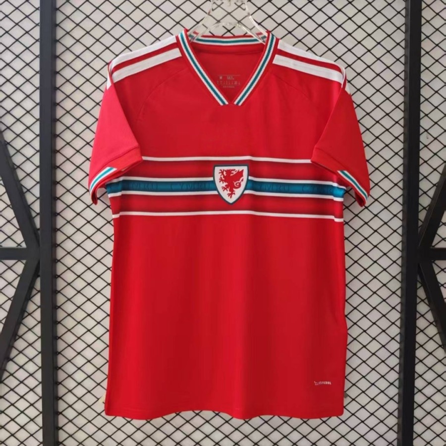 db928b2e5dda79c23d7e86fe58a9ad80.jpg Wales Thuisshirt 2025/26