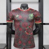ee1c4a43.jpg Mexico Conceptshirt 2026