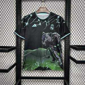 fac1df7f_540x_b0aad32f-6a48-4685-85a6-55b0ccab08e9.jpg Voetbalshirt Real Madrid 2024/25 Zwart en Groen Speciale Editie