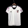 Japan 2022/23 WK shirt